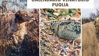 Notizia Studio Amica - Puglia, pubblicato il calendario venatorio 2022/2023