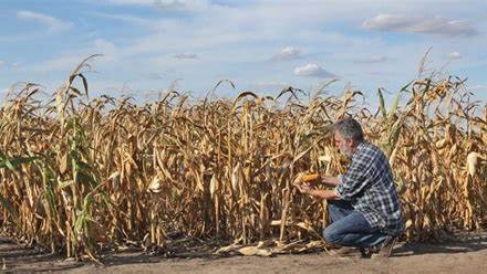 Notizia Studio Amica - Dichiarazione dell'esistenza del carattere di eccezionalità degli eventi calamitosi verificatisi nei territori della Regione Puglia dal 1° gennaio al 30 settembre 2022. Siccità