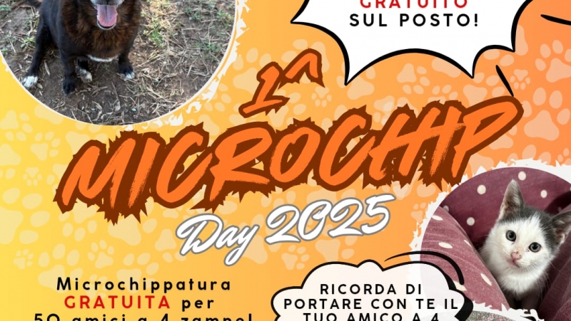 Notizia Studio Amica - Prima edizione del Microchip day per cani e gatti