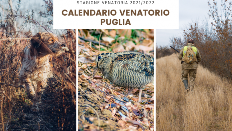 Notizia Studio Amica - Calendario Venatorio regionale annata 2021/2022